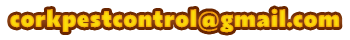 Email us on: corkpestcontrol@gmail.com