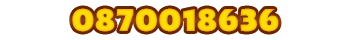 Call Us Today 0870018636